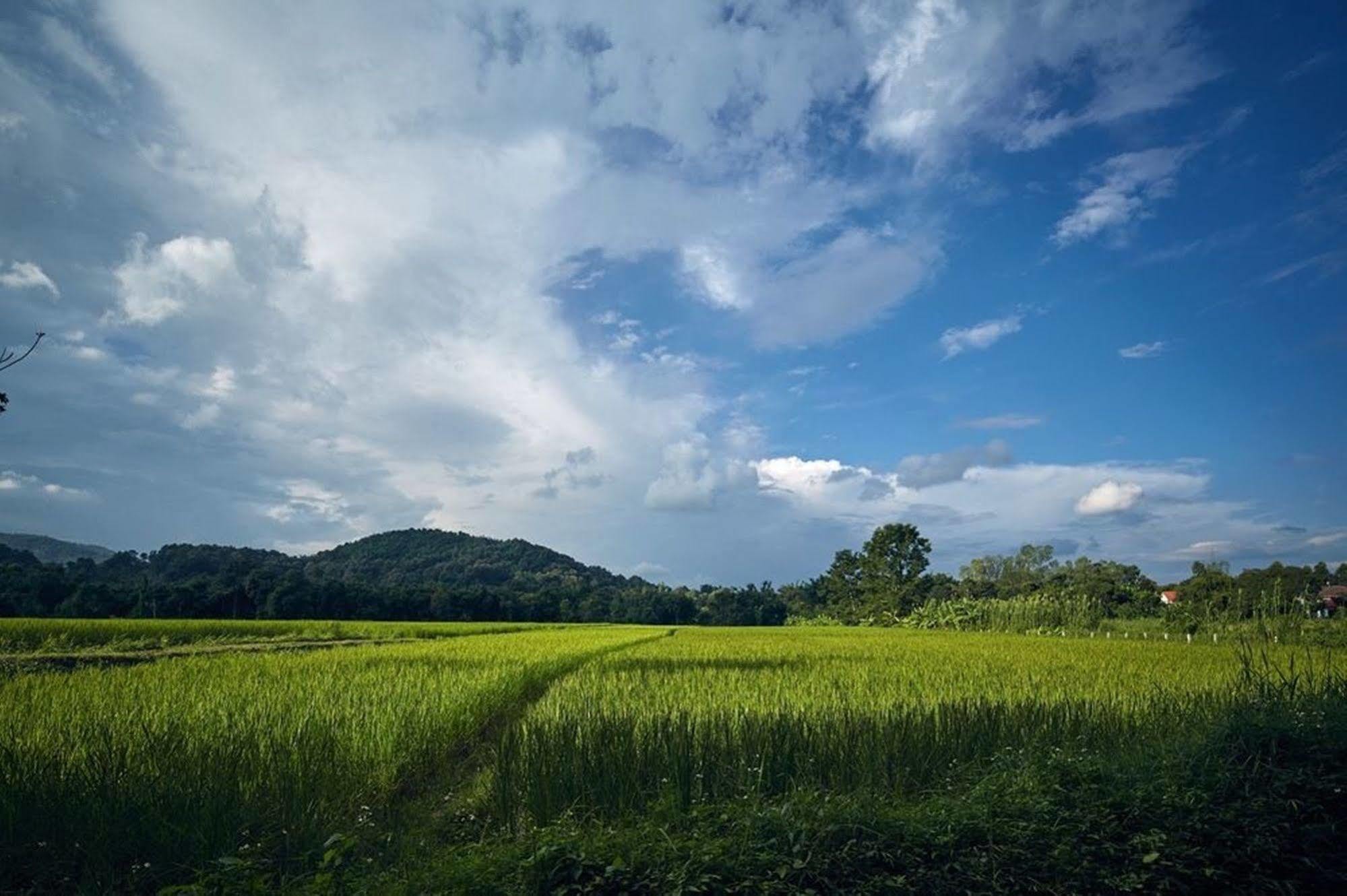 Bambuh Boutique Homestay (Adults Only) Chiang Rai Exterior photo